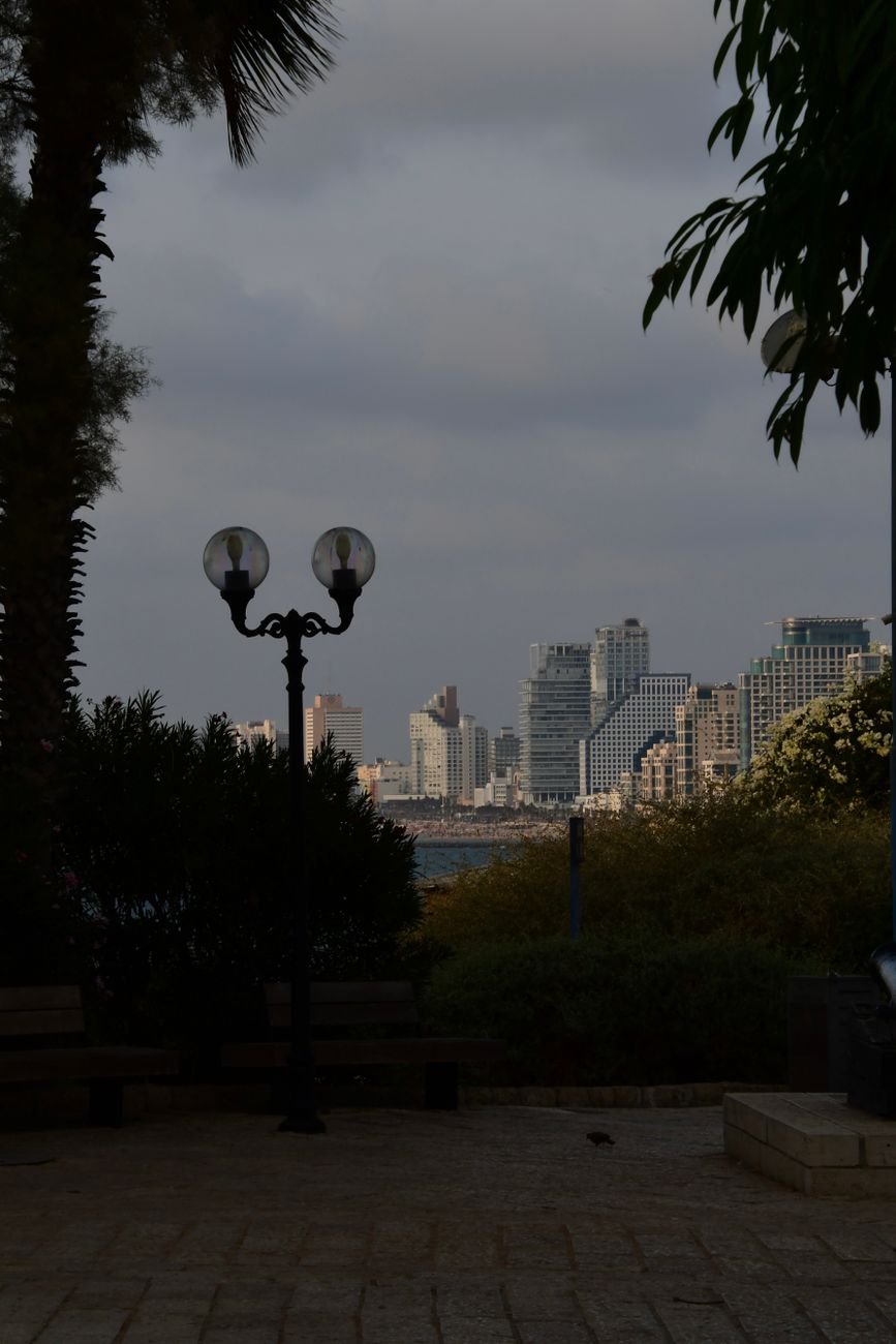 ניווט בעולם המשפט והעסקים: החשיבות של ליווי משפטי רב-תחומי בעידן המודרני